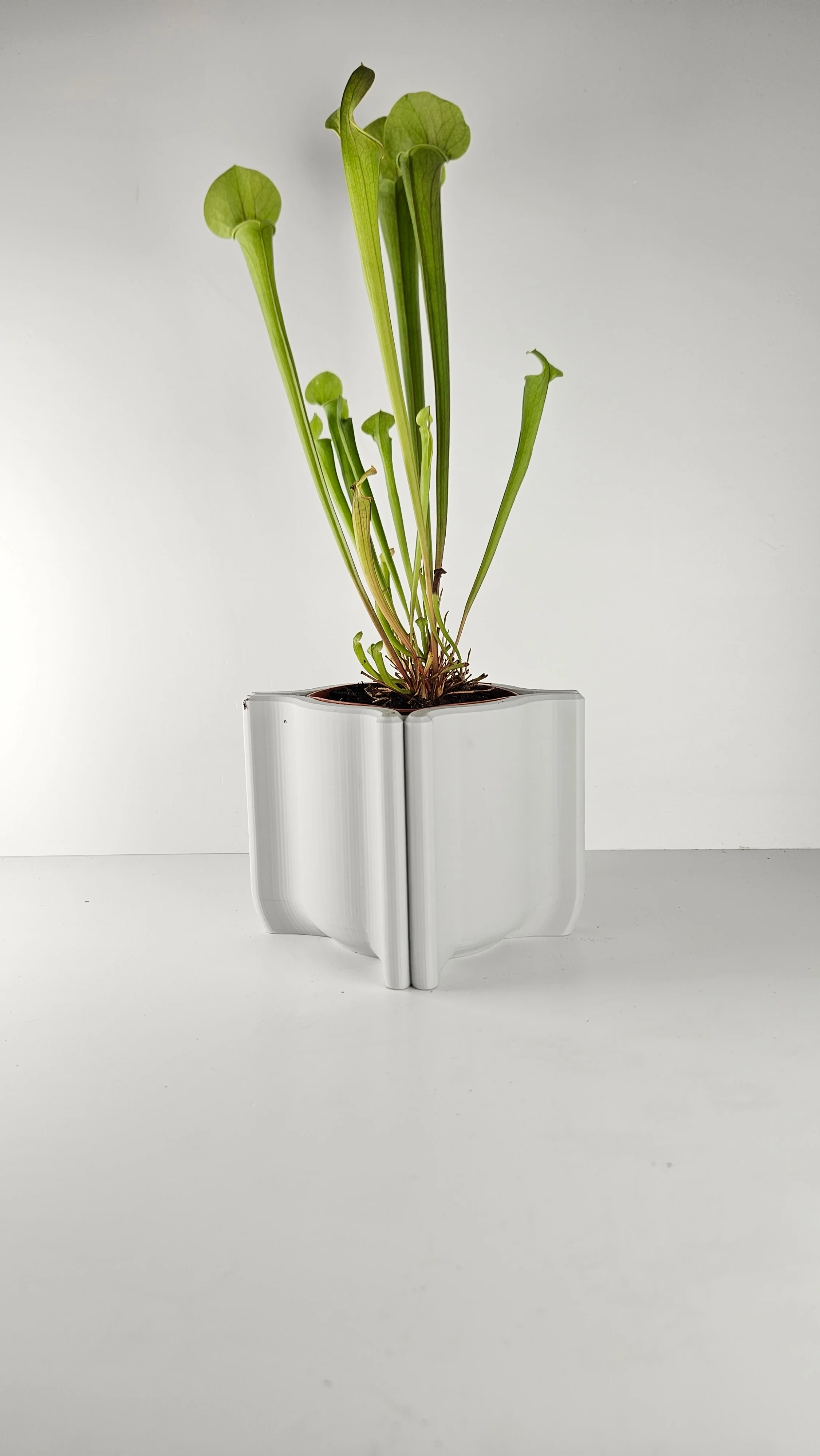 Omni Planter 3d model