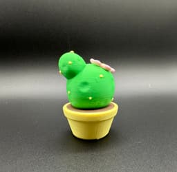 CUTE CACTUS 3d model