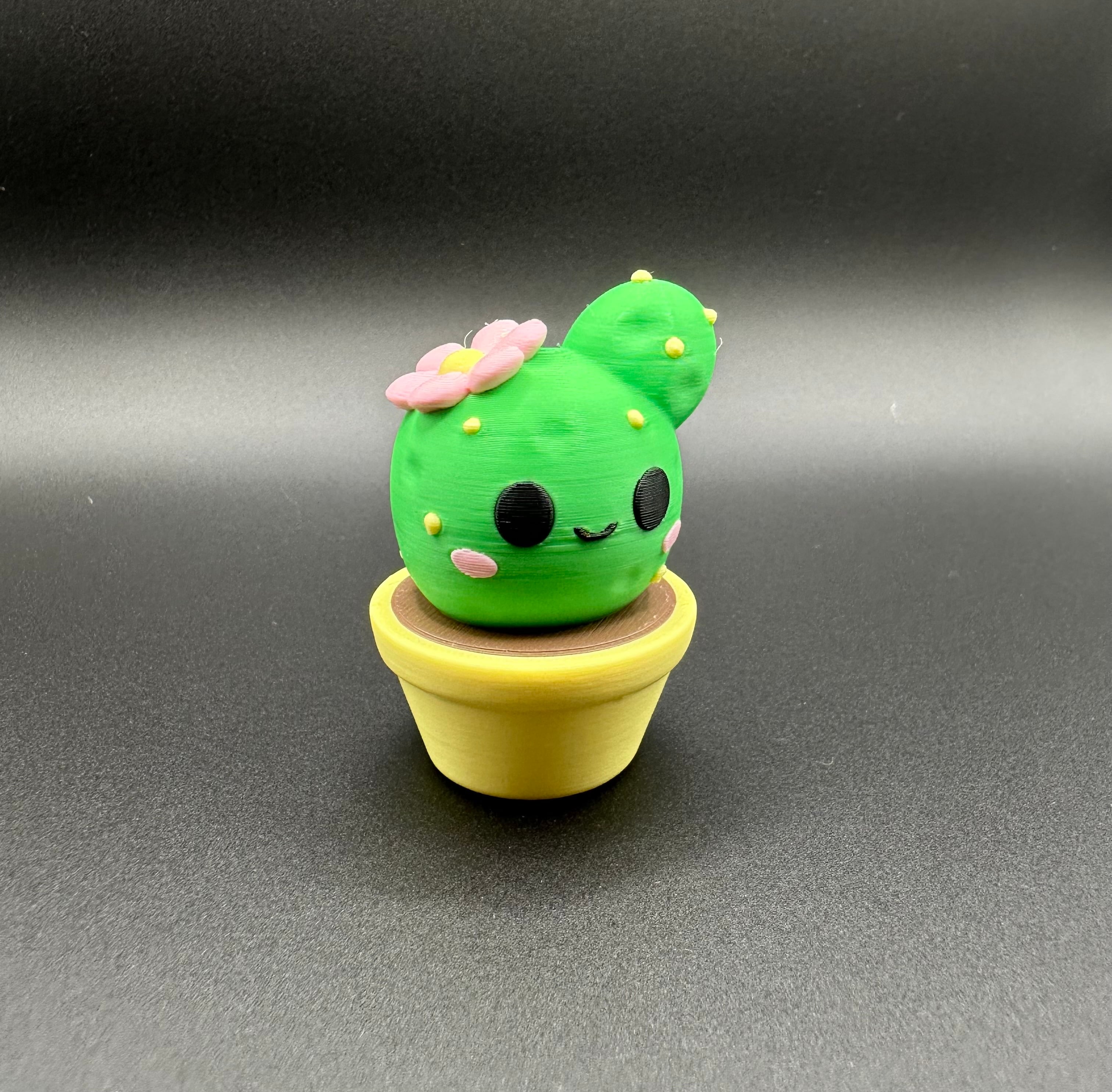 CUTE CACTUS 3d model