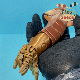 Flexi Squid, and Ammonite (print-in-place) 3d model
