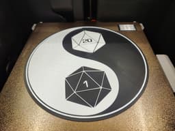 D20 Yin Yang 3d model