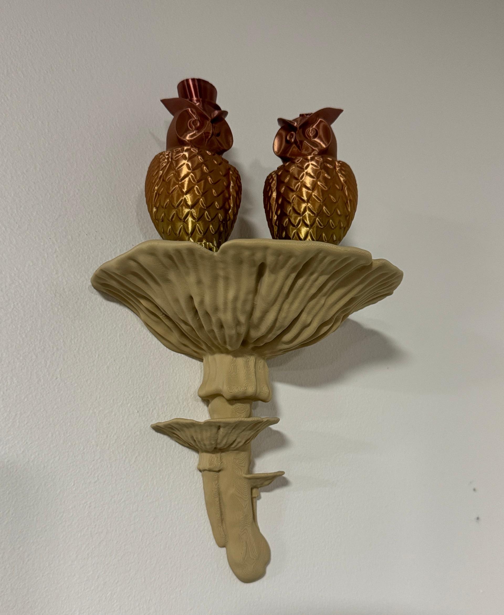 Wall shelf “Amanita Fungus” - Very nice model. The print came out wonderful and the bracket is perfect. Thank you for sharing your art! - 3d model