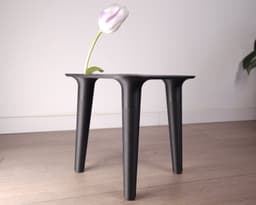 Table - Plant Riser - Flower Vase - Crumb collector 3d model