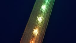 Mind Blowing LED Light Channels 3d model