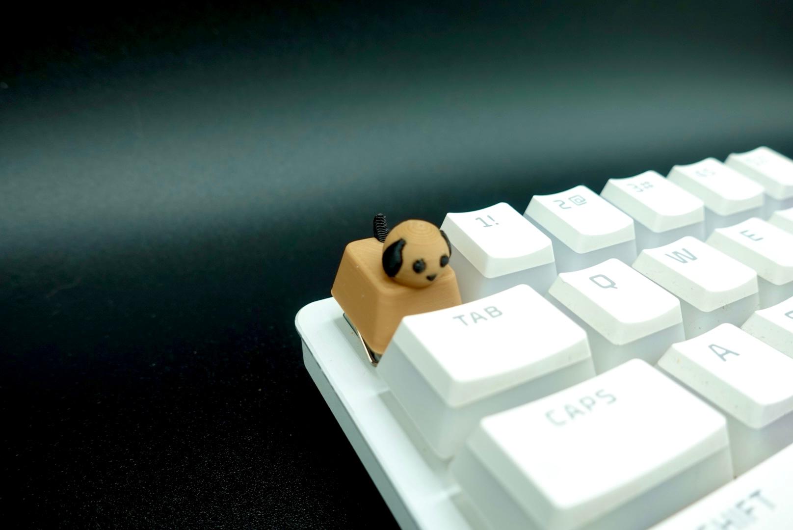 Puppy Keycap (Mechanical Keyboard) 3d model