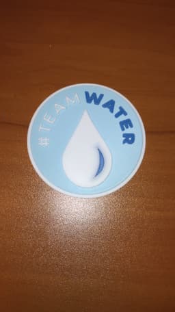 Team Water Coin 3d model