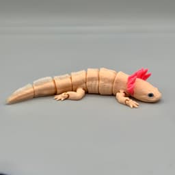 Axolotl Flexy | Articulated Axolotl + 6mm Glass Eyes Option and Pre Painted 3d model