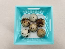 Mini Milk Crate with Quail Egg Tray (3.25”x3.25”) – Stackable & Space-Saving Storage 3d model