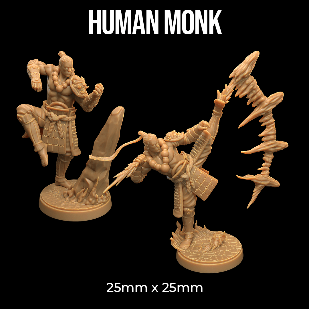 Human Monk 3d model