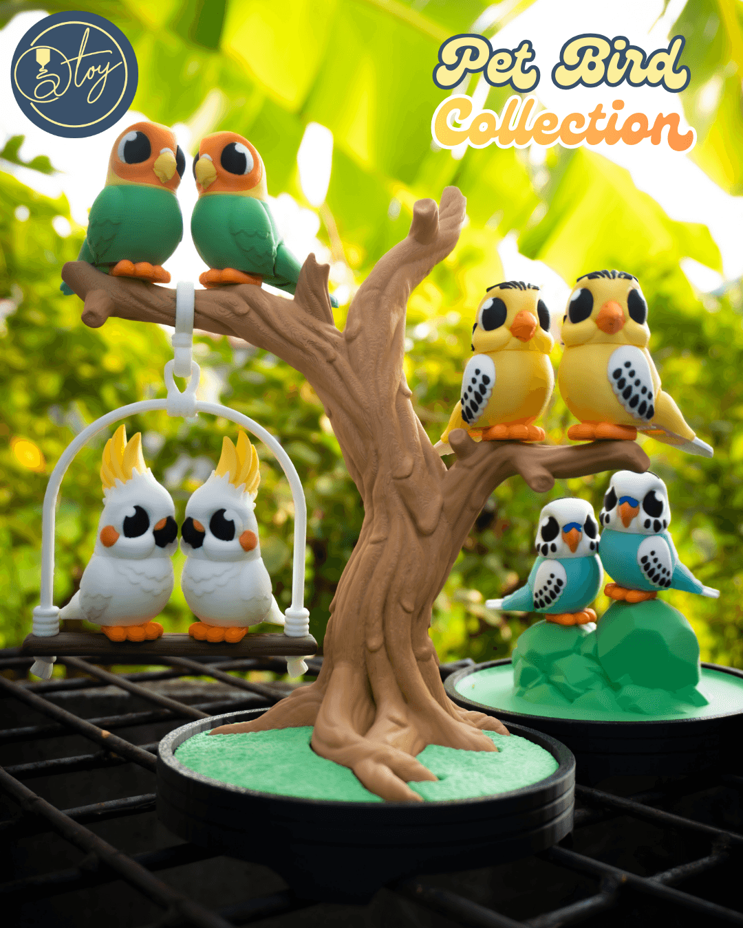 Pet Bird Collection 3d model