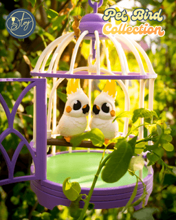 Pet Bird Collection 3d model