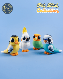 Pet Bird Collection 3d model