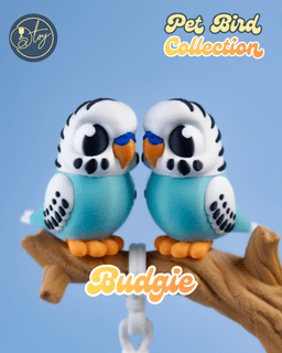 Pet Bird Collection 3d model