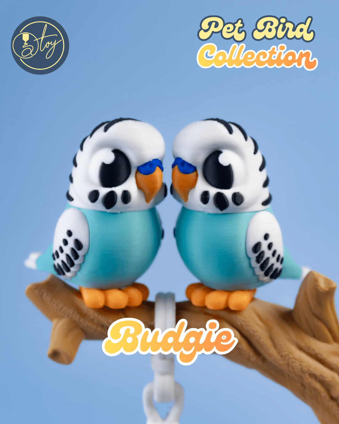 Pet Bird Collection 3d model