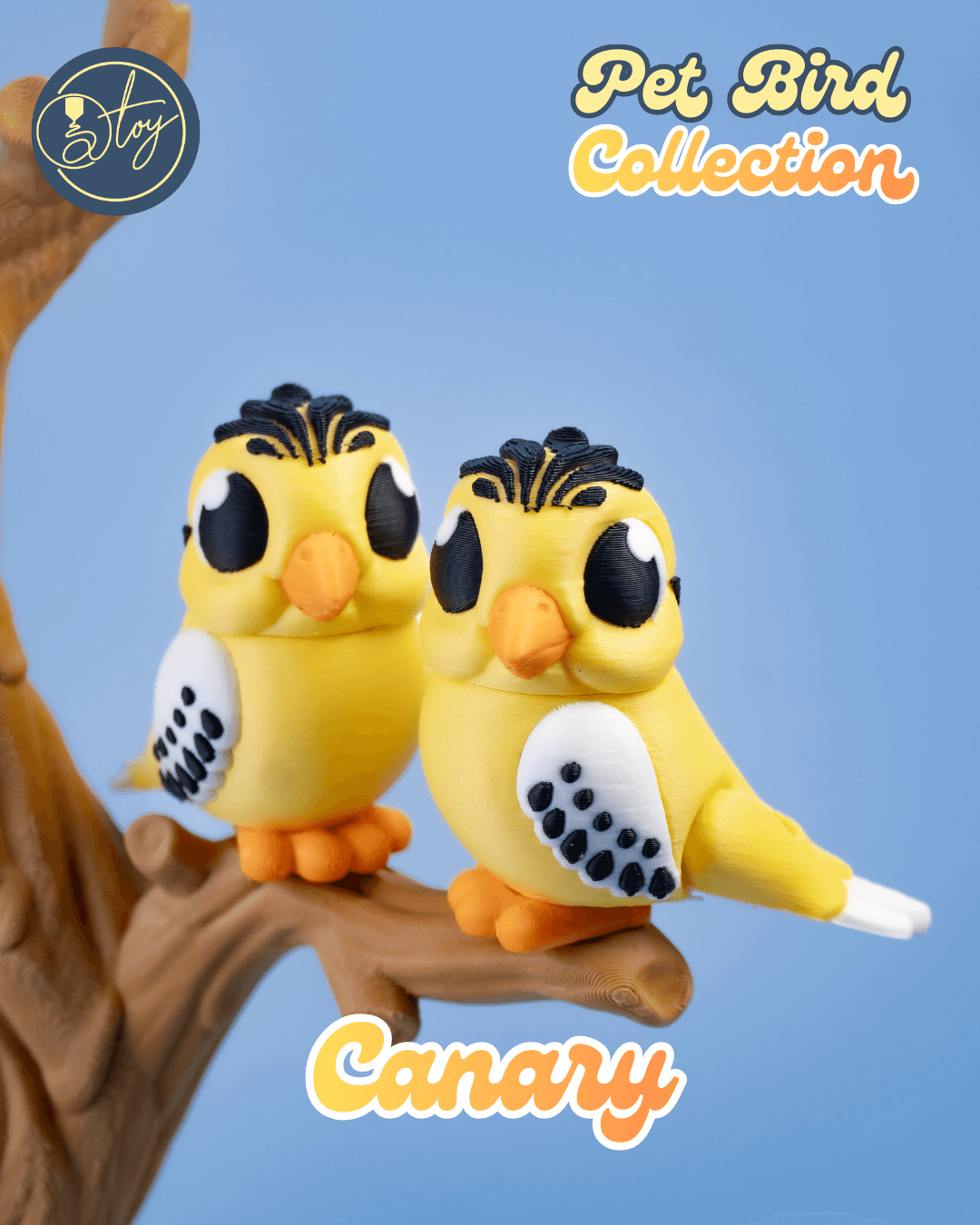Pet Bird Collection 3d model