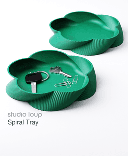 Spiral Tray 3d model