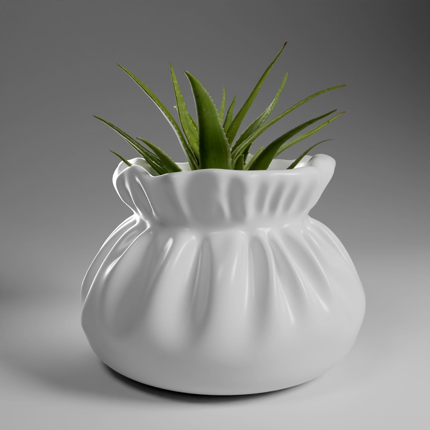 Pouch Planter 1 3d model