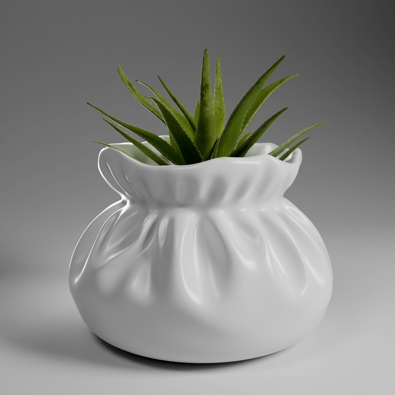 Pouch Planter 1 3d model