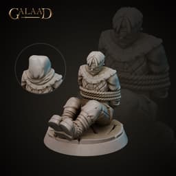 Guard Prisoner 3d model