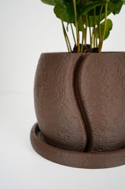 COFESIA – Coffee Bean Planter I Planter for Coffee Layers 3d model