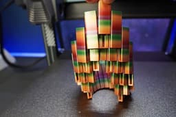 3DHojor Tulipa Rainbow 3d model