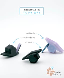 Alumni 2025 Multi-Pack 3d model