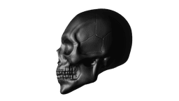 Male Skull Sculpt, Sculpture, Various Versions 3d model