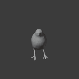 Babbler Bird 3d model