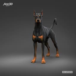 Doberman Pinscher Cropped Ears Natural Tail 3D Print Pose 03 3d model