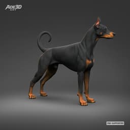 Doberman Pinscher Cropped Ears Natural Tail 3D Print Pose 03 3d model