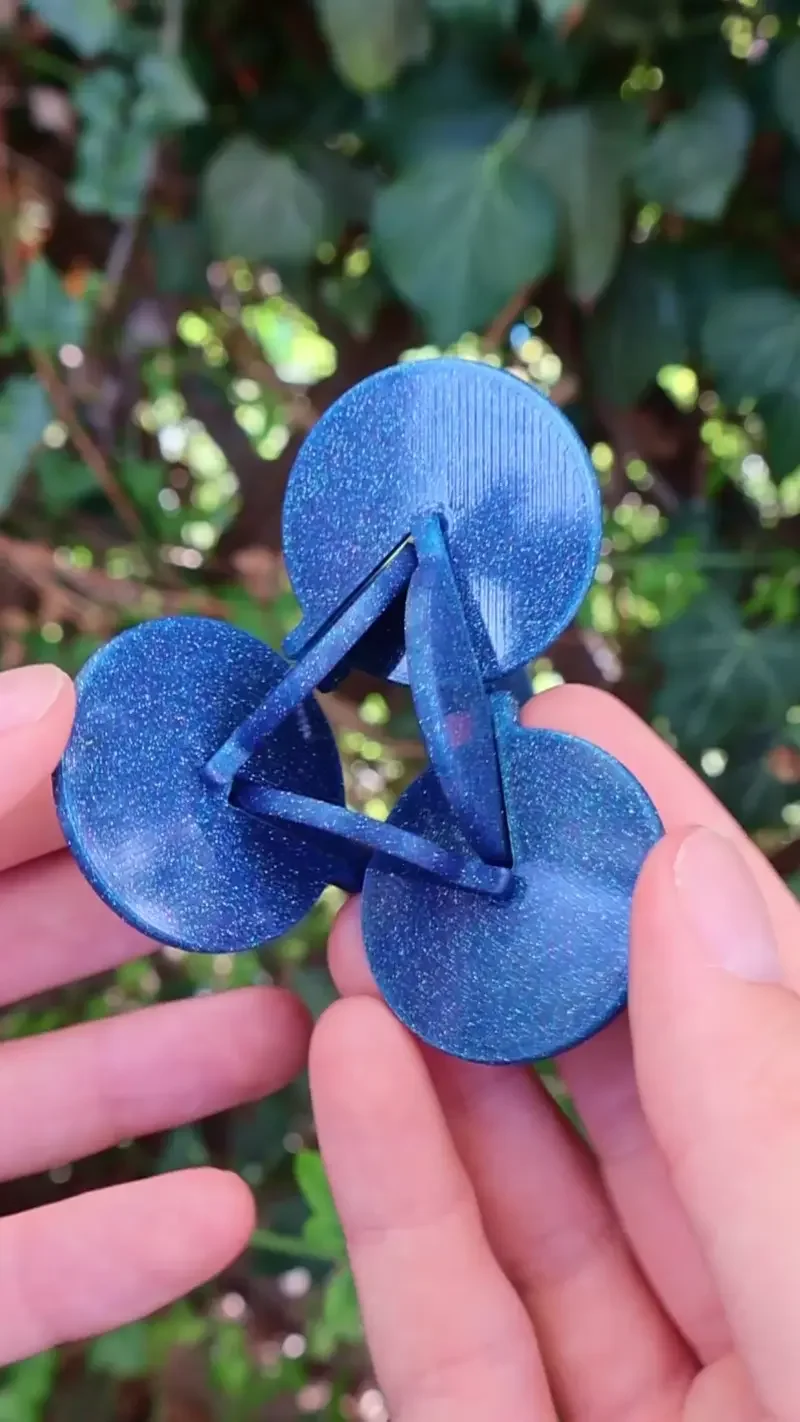 Twister Fidget Toy 3d model
