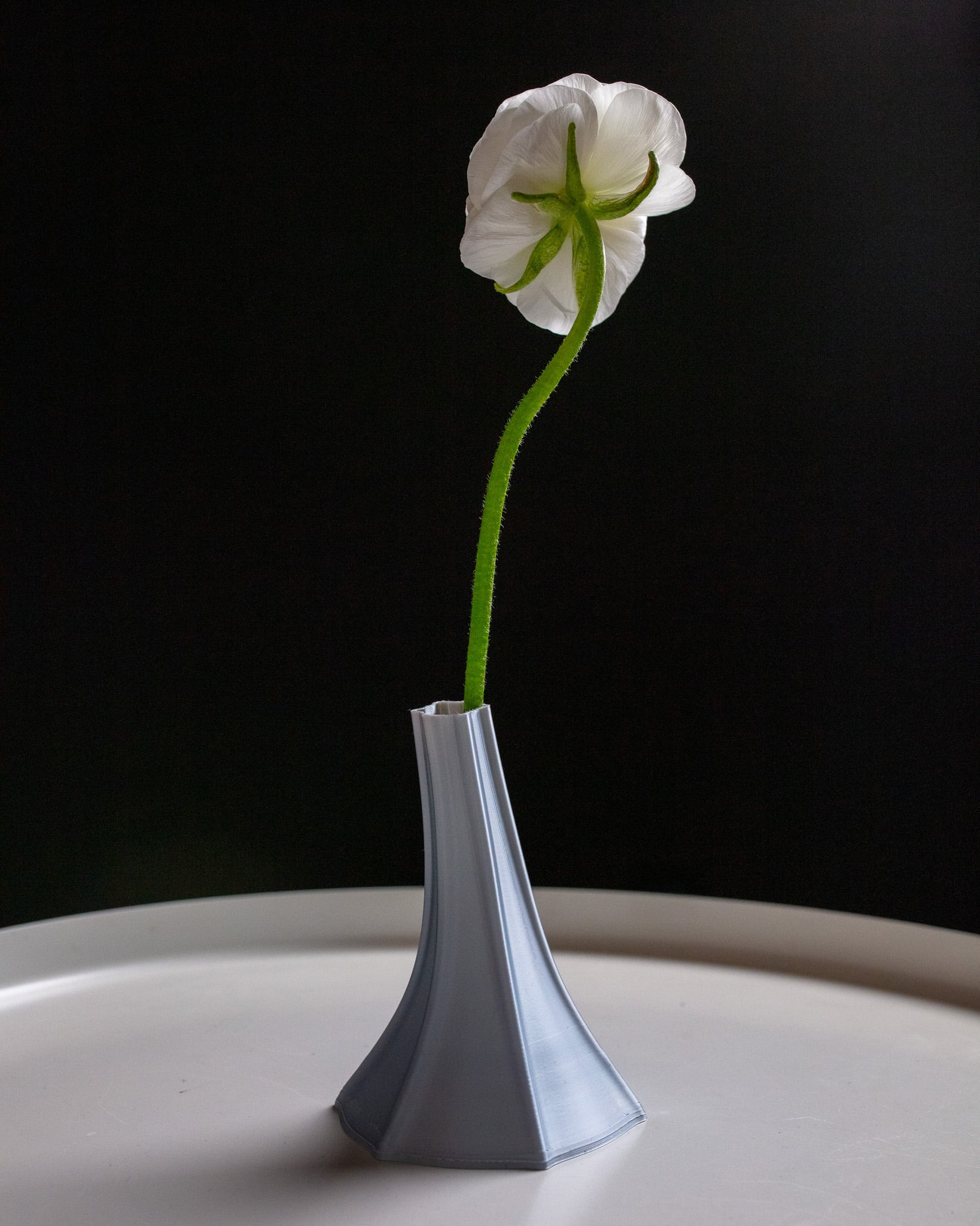 Stem Vase Single 3d model
