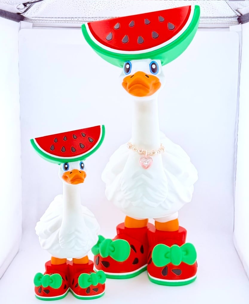 Watermelon Goose Gear for Porch Goose 3d model