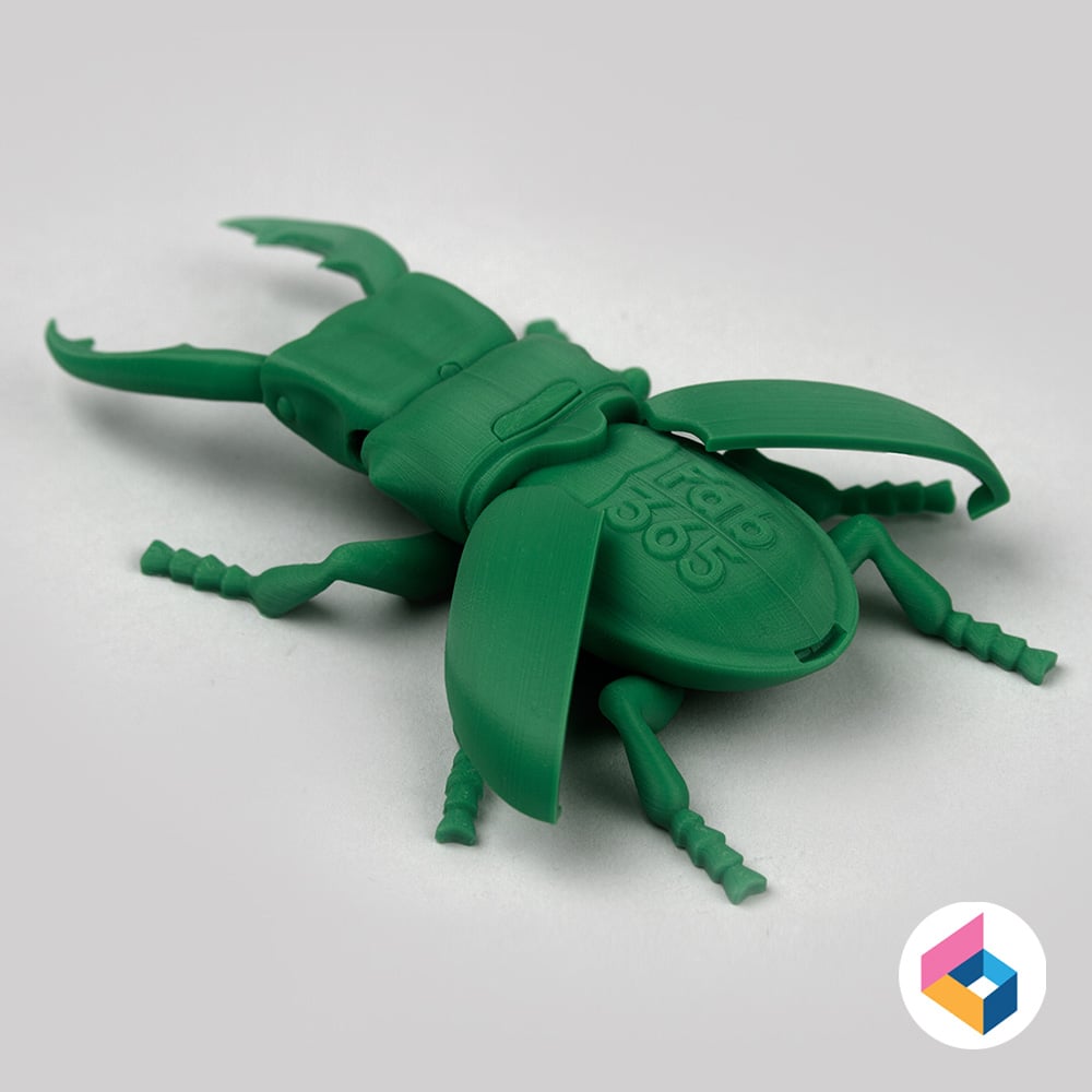Foldable Stag Beetle - Flexi 3d model