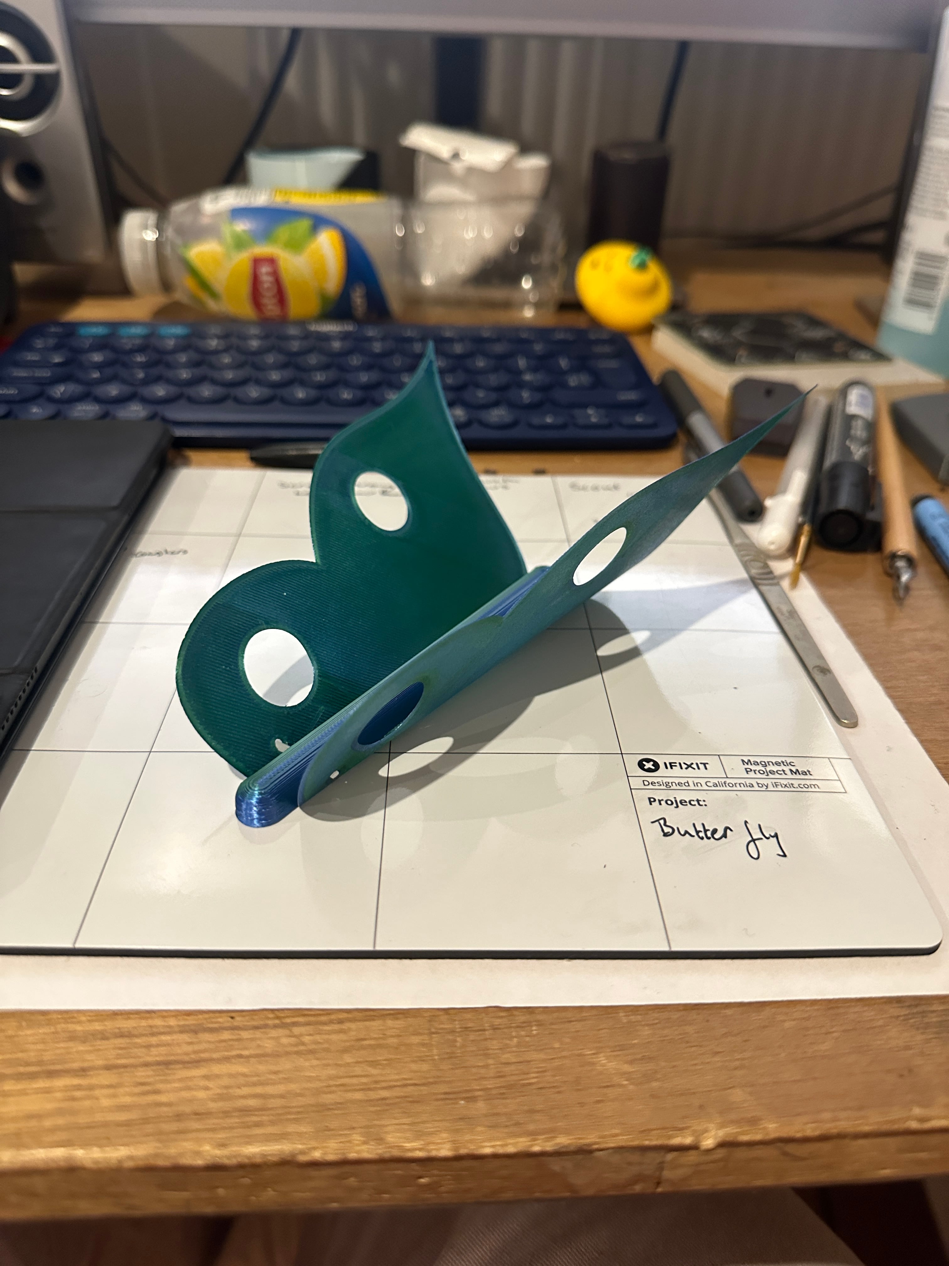 First layer test Butterfly 3d model