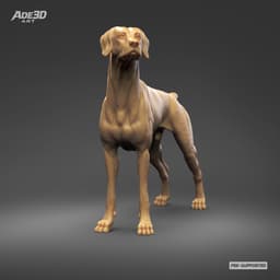 Doberman Pinscher Natural Ears Docked Tail 3D Print Pose 07 3d model