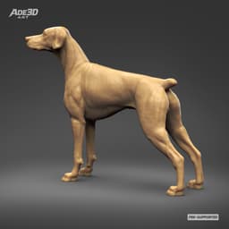 Doberman Pinscher Natural Ears Docked Tail 3D Print Pose 07 3d model