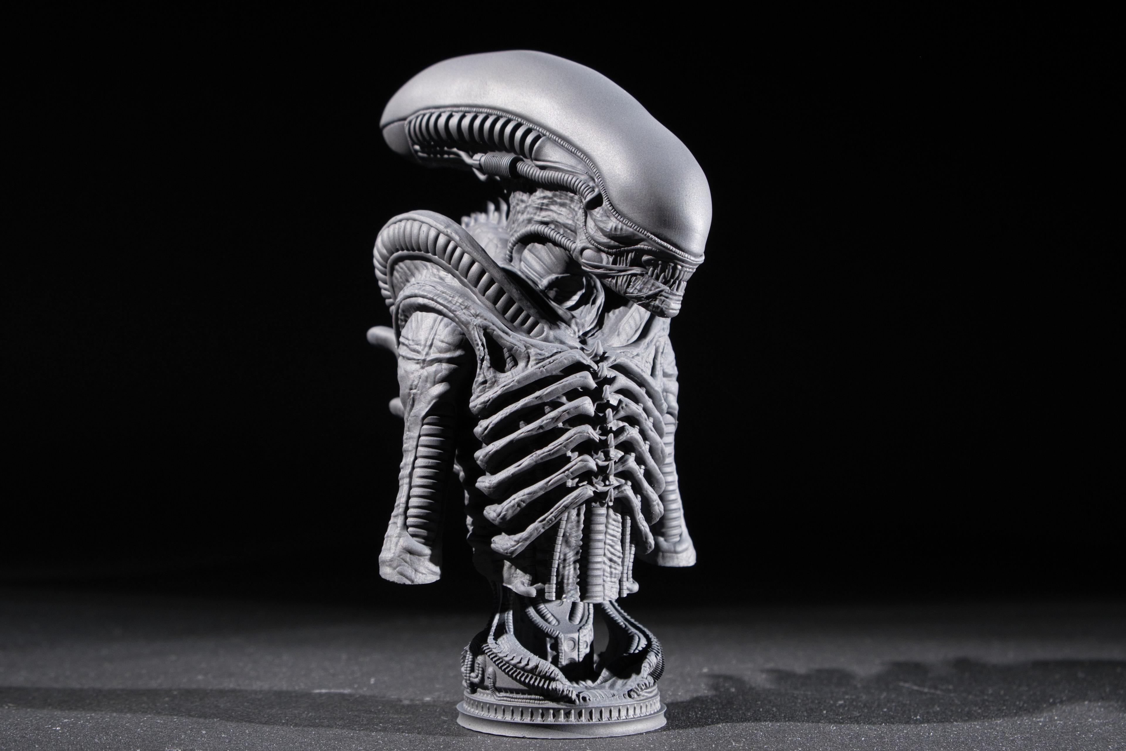 Xenomorph Bust (Pre Supported) 3d model