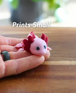 Articulating Axolotl - Articulating fidget Axolotl - Ludo 3D Printed Flexy Fidget Toy 3d model