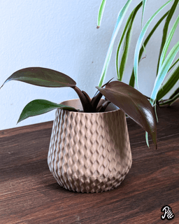 Textured Planters 3d model
