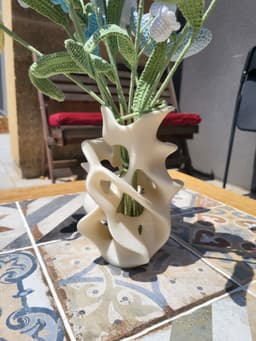 Organic Twist Vase – 3D Printable Modern Decor 3d model