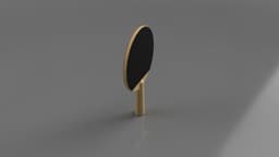 Ping Pong Paddle Model and Renders 3d model