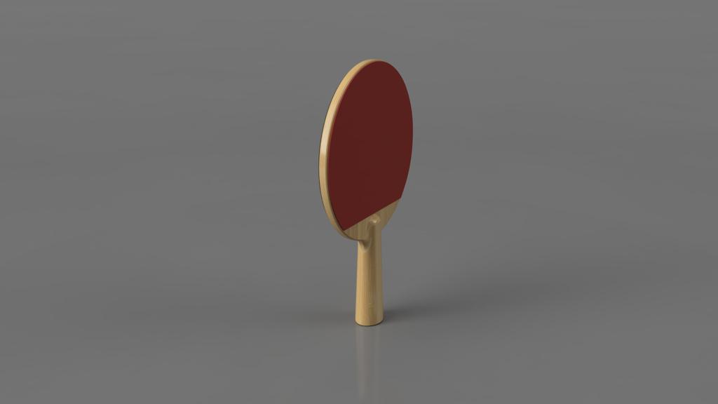 Ping Pong Paddle Model and Renders 3d model
