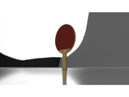 Ping Pong Paddle Model and Renders 3d model