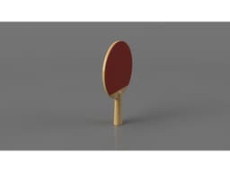 Ping Pong Paddle Model and Renders 3d model
