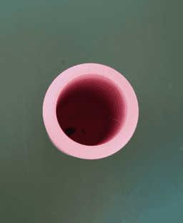 Ona Vase 3d model