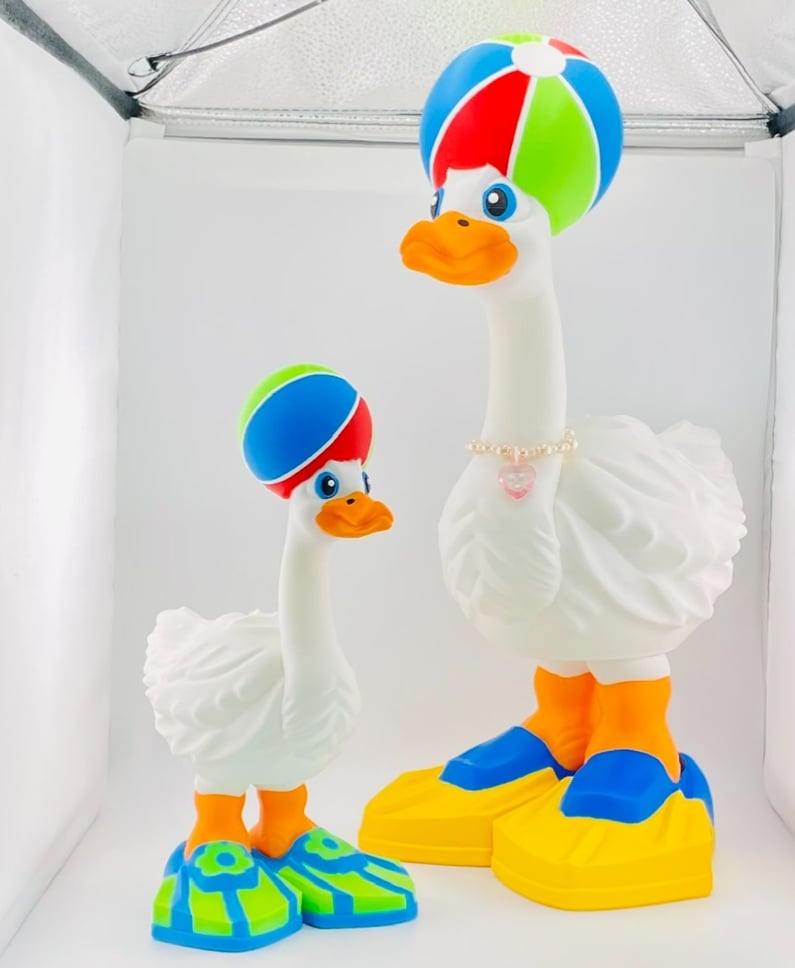 Beach Ball and Flippers Goose Gear for Porch Goose 3d model