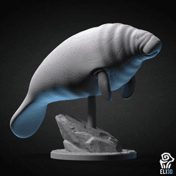 Animals - Ocean Wildlife 3d model