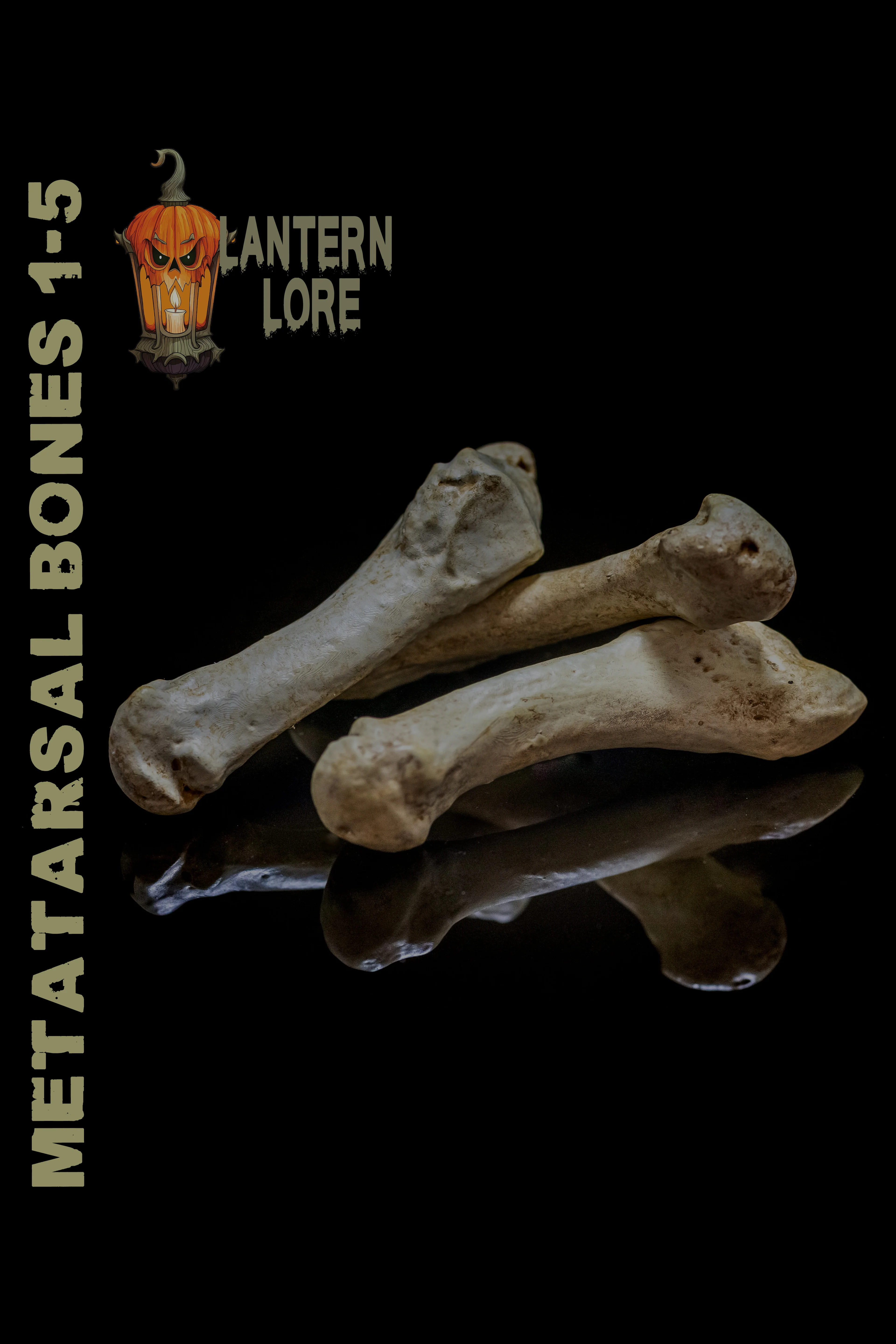 Members Exclusive Metatarsal Bones 1-5 Keychains/Ornaments (Pre Supported) 3d model