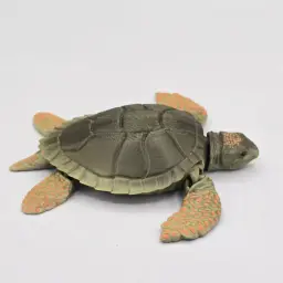 Prehistoric Archelon Sea Turtle Dinosaur 3d model